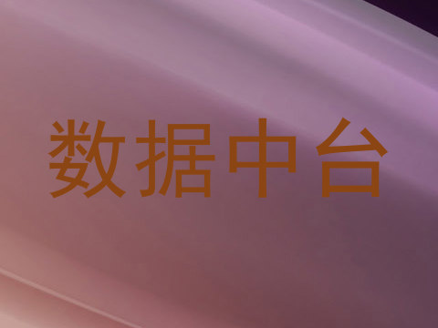 数据中台