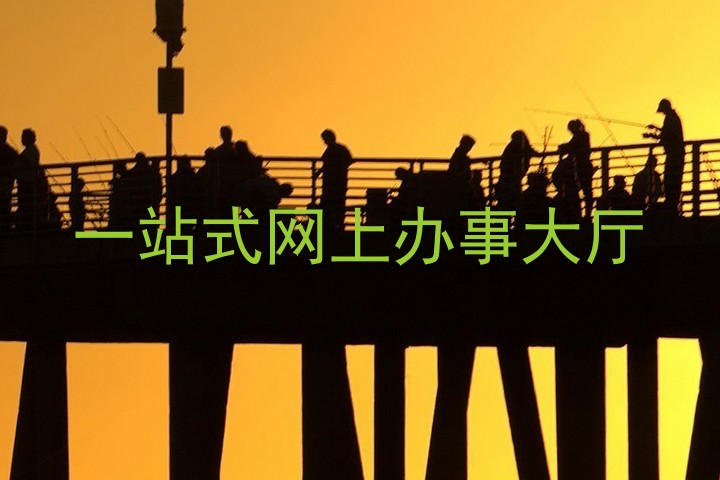 一站式网上办事大厅