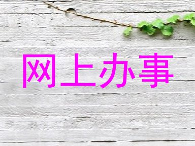 网上办事