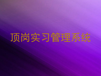 顶岗实习管理系统