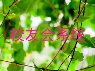 校友会系统