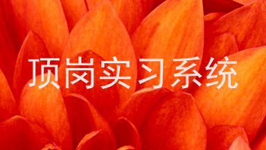 顶岗实习系统