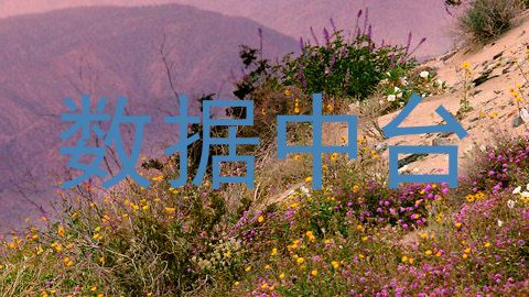 数据中台