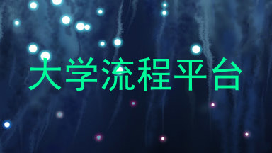 大学流程平台