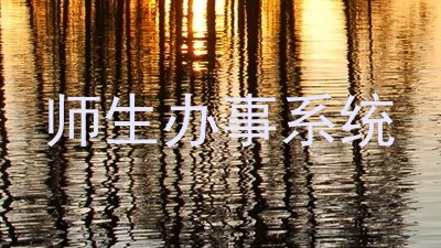 师生办事系统