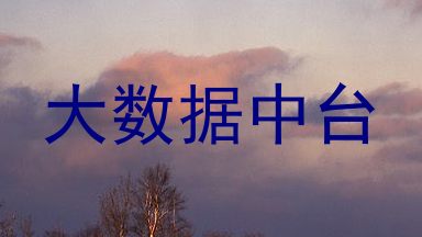 大数据中台