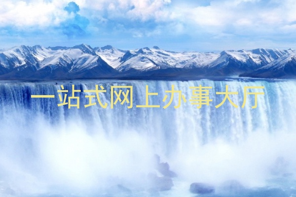 一站式网上办事大厅