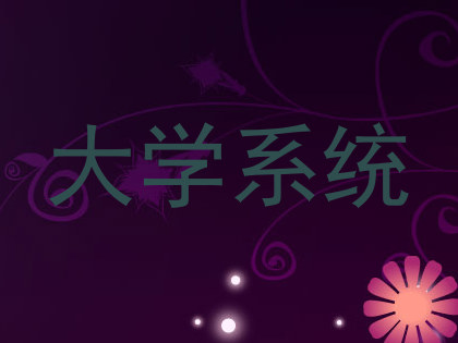 大学系统