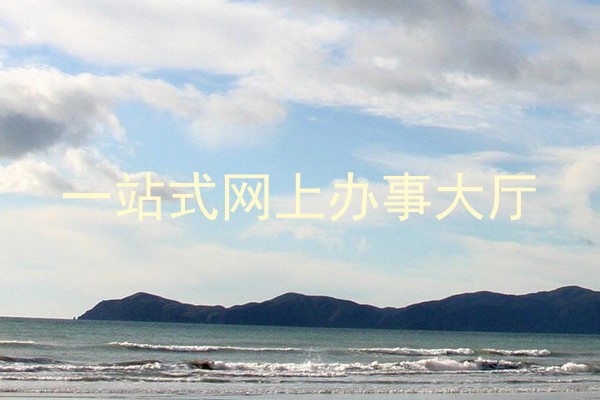 一站式网上办事大厅