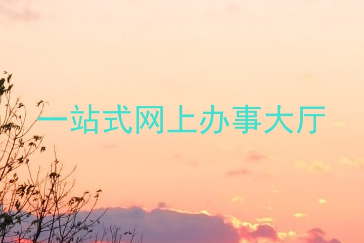 一站式网上办事大厅