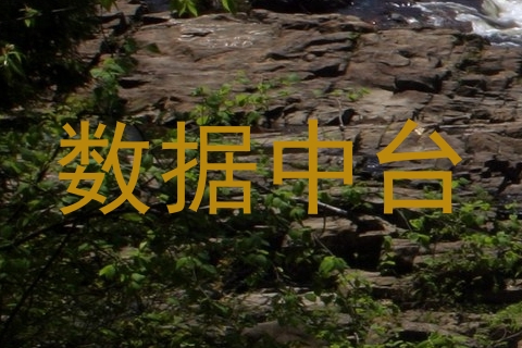 数据中台