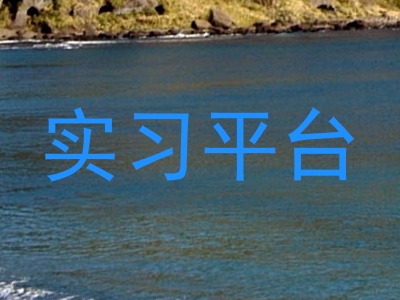 实习平台