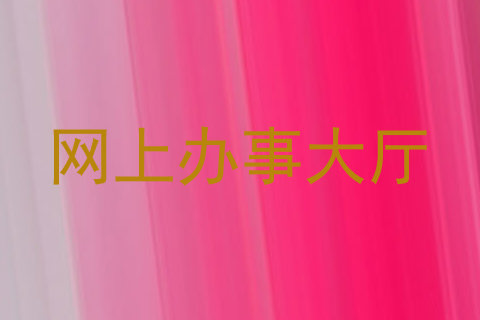 网上办事大厅