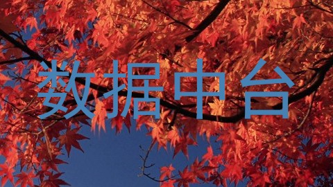 数据中台
