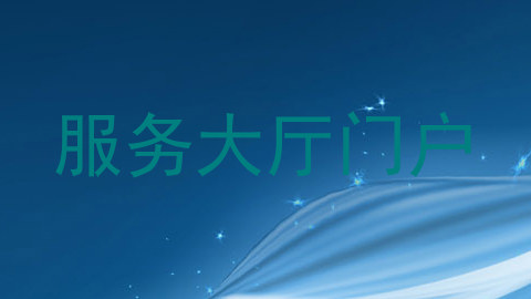 服务大厅门户
