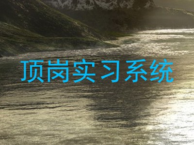 顶岗实习系统