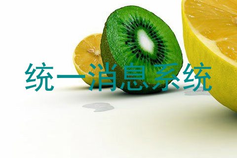 统一消息系统