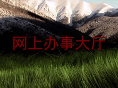 网上办事大厅