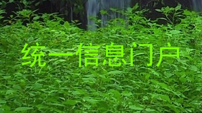 统一信息门户