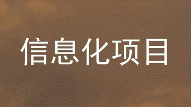 信息化项目