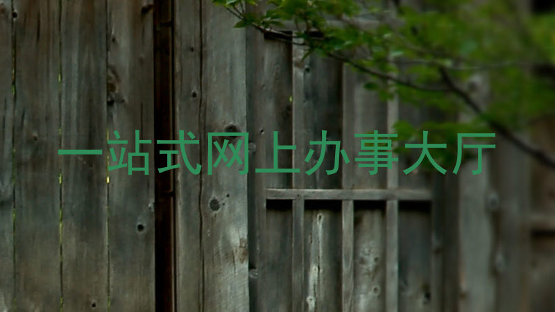 一站式网上办事大厅