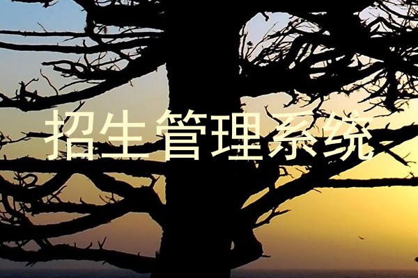招生管理系统