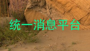 统一消息平台