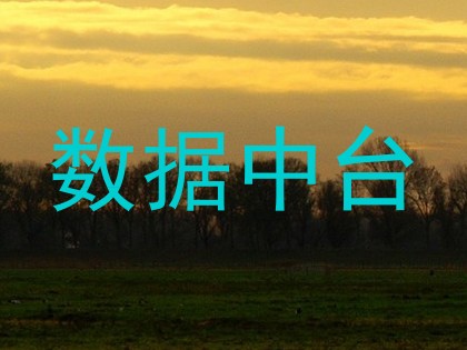 数据中台