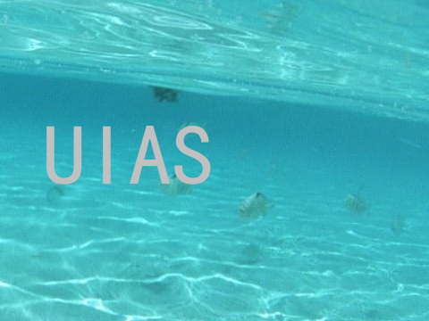 UIAS