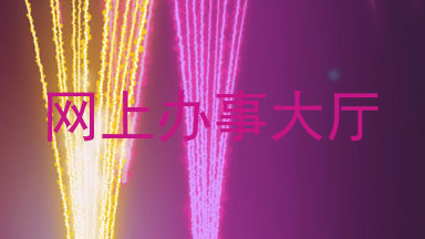 网上办事大厅