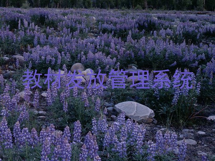 教材发放管理系统