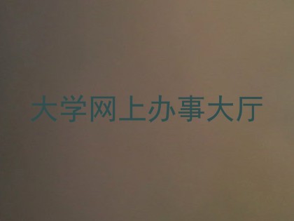 大学网上办事大厅