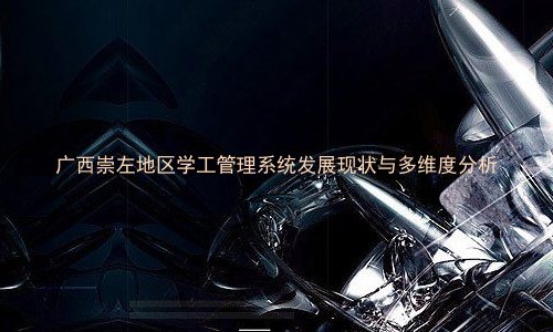 广西崇左地区学工管理系统发展现状与多维度分析