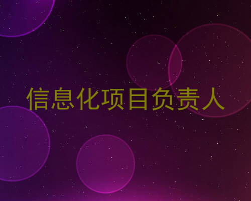 信息化项目负责人