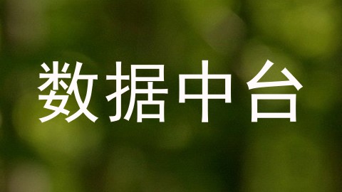 数据中台