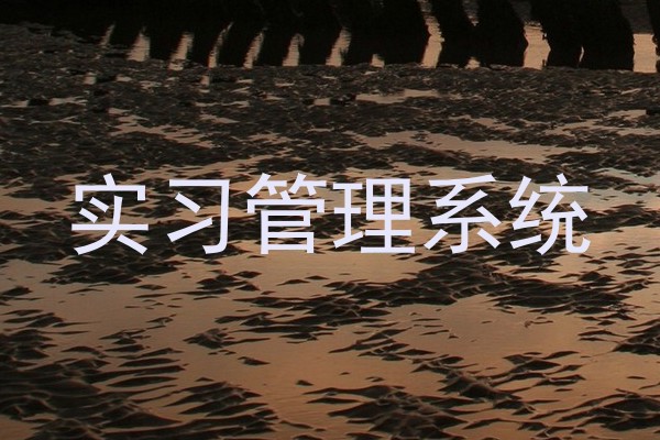 实习管理系统