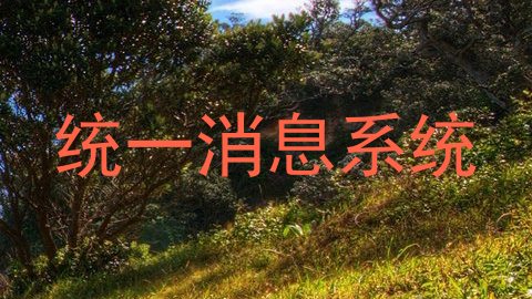 统一消息系统