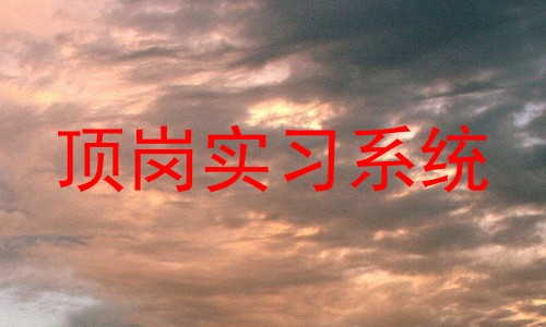 顶岗实习系统