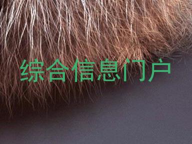 综合信息门户