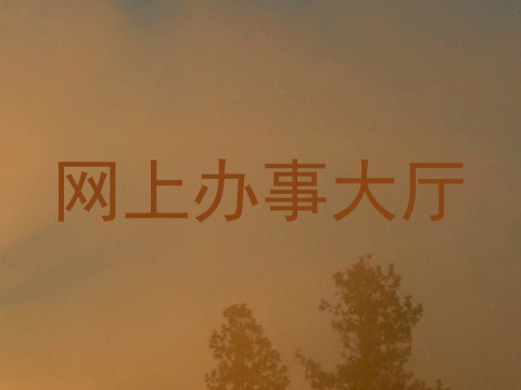网上办事大厅