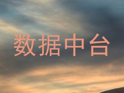 数据中台