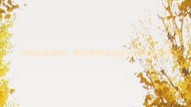自研还是采购？科研管理系统建设的两难选择