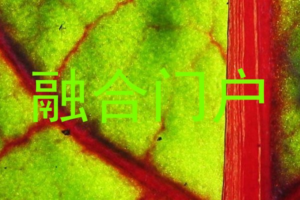 融合门户