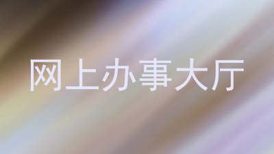 网上办事大厅