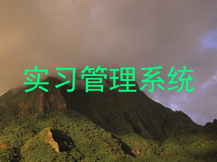 实习管理系统