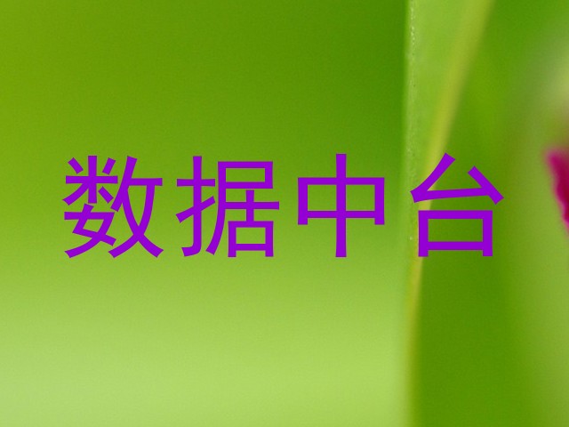 数据中台