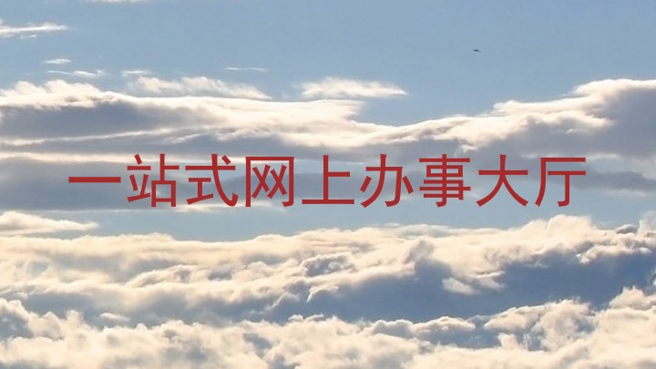 一站式网上办事大厅