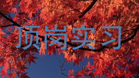 顶岗实习