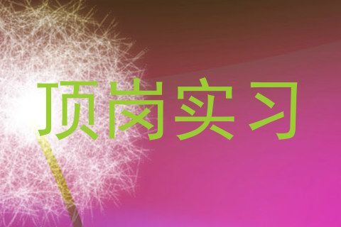 顶岗实习