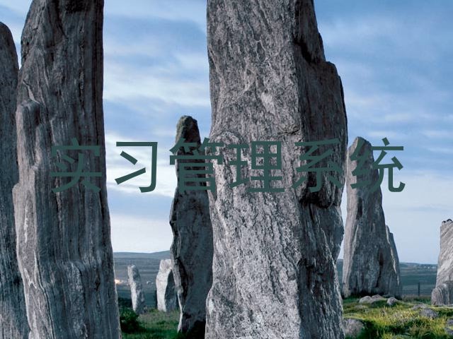 实习管理系统